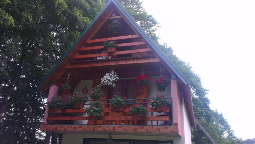 House Jaksic — Hotel in Pošćenski Kraj