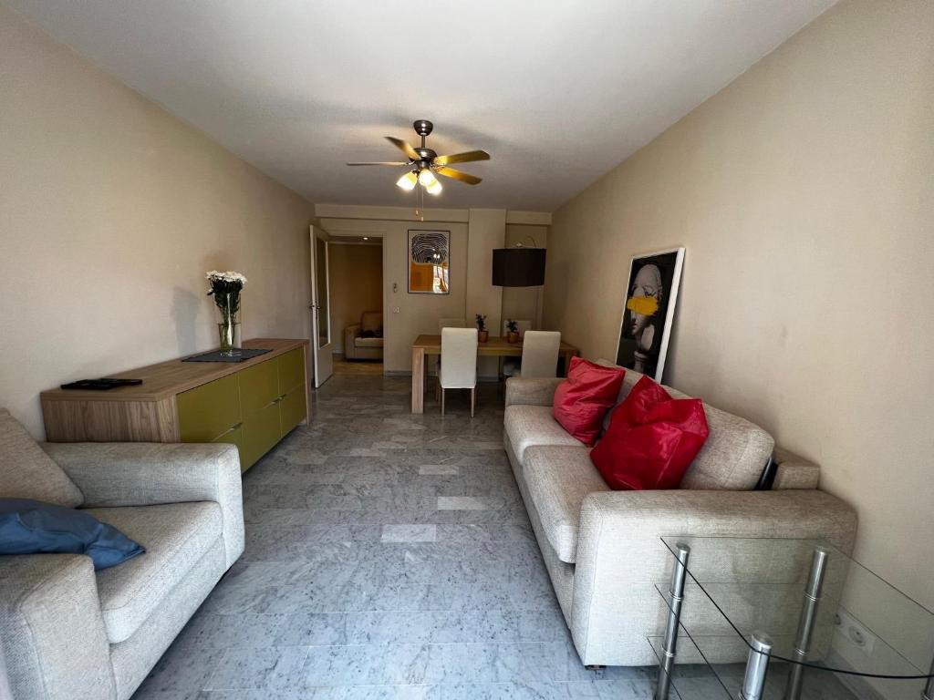 Les Mimosas-spacious apartment-city center - 3