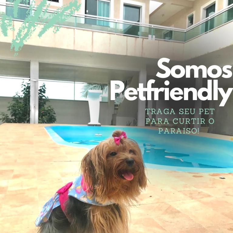 Suites Brandi photo