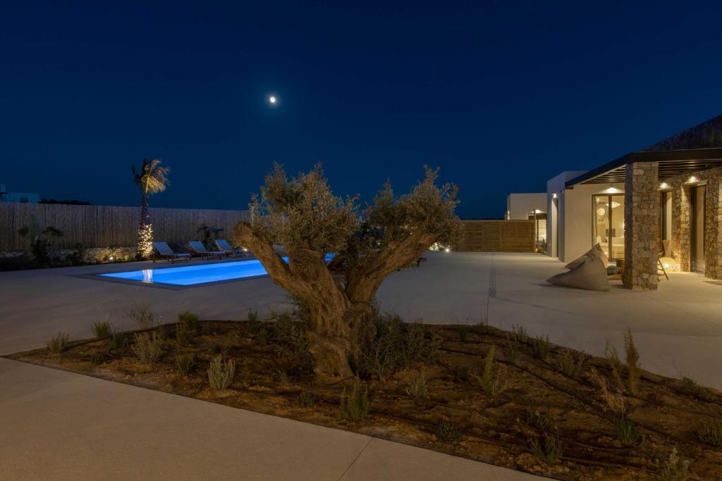 Nuovo Villas Paros