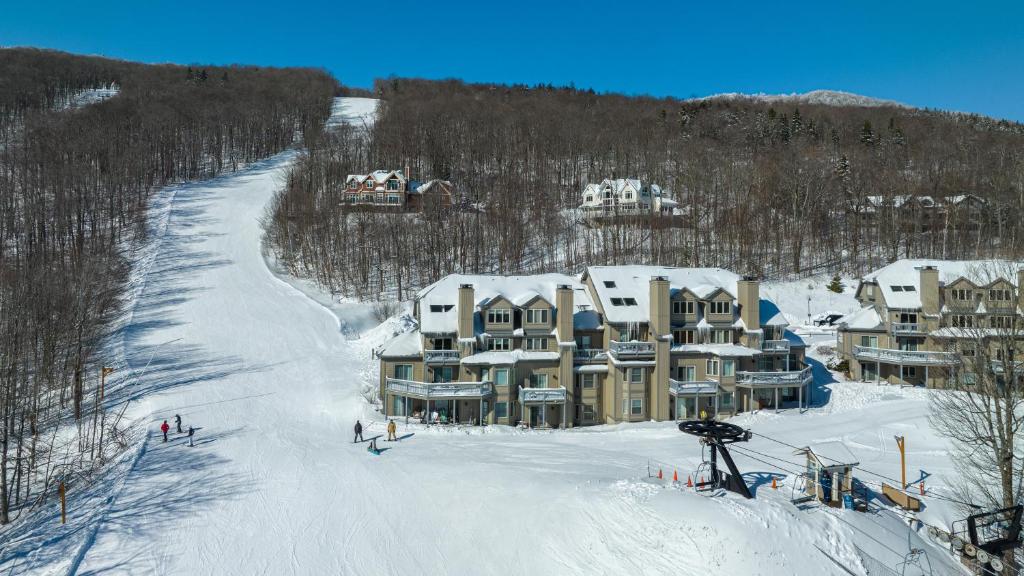 Solitude Village at Okemo photo