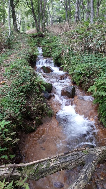 المنطقة المحيطة