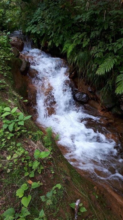 Nearby attraction