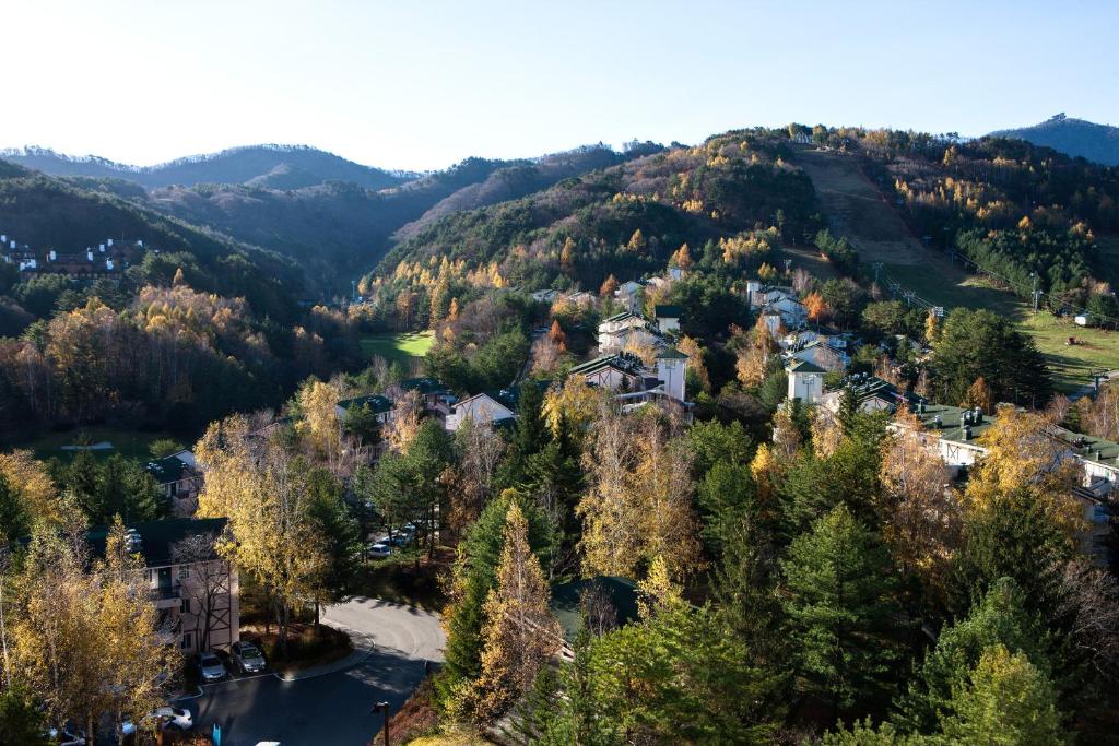 주변 환경