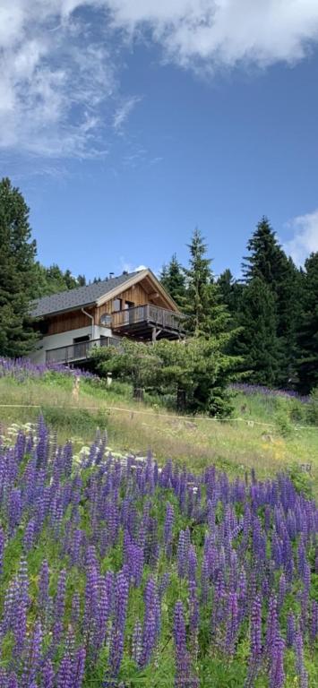 Chalet Claassen, Turracher Hohe
