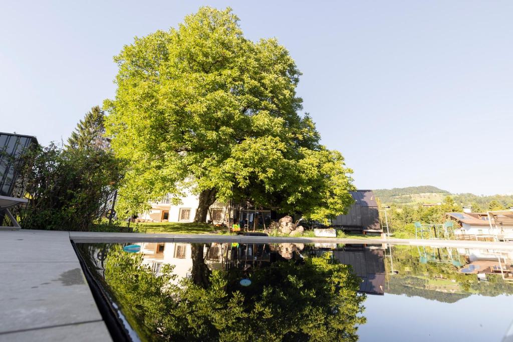 Michlhaus nature and suites - Dolomiten-Worldhertiage, Family & Pool - 4