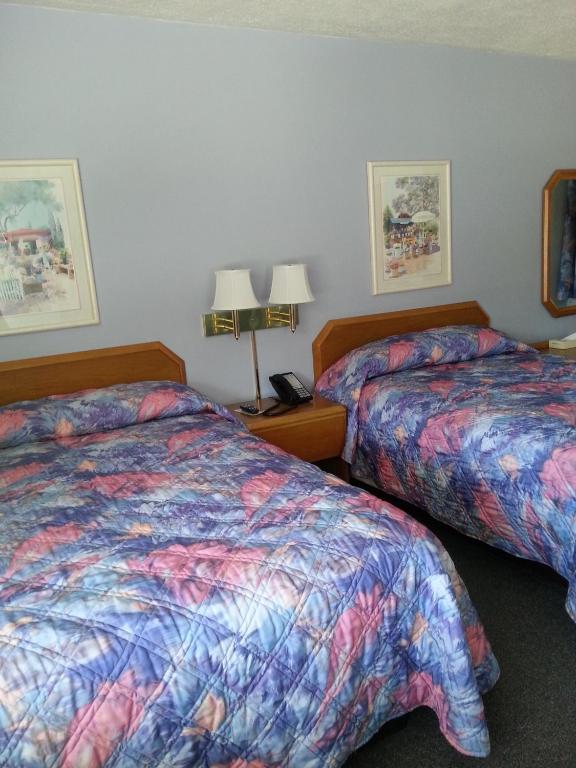 Carolina Motel photo
