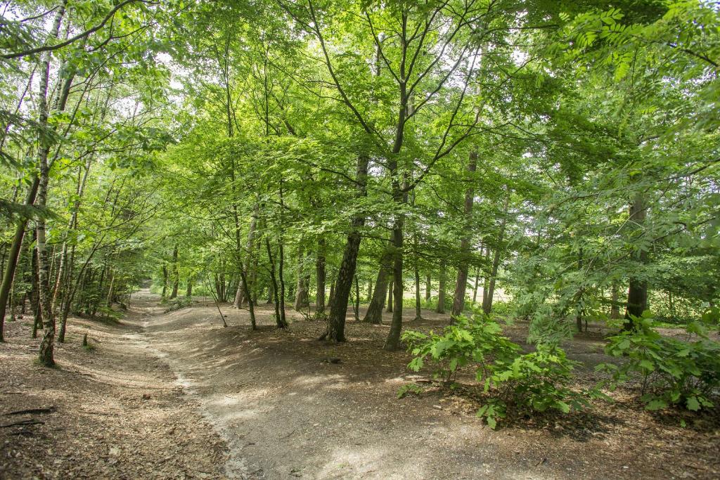Surrounding environment