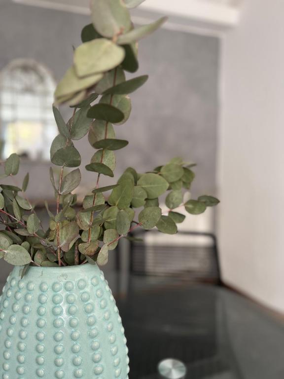 Departamento moderno calle España! - 5