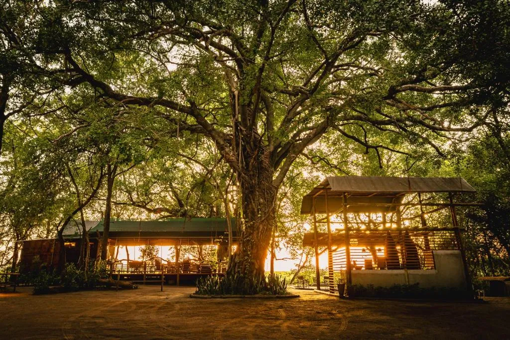 ASKIESBOS - Samochima Bush Camp, hotel in Shakawe