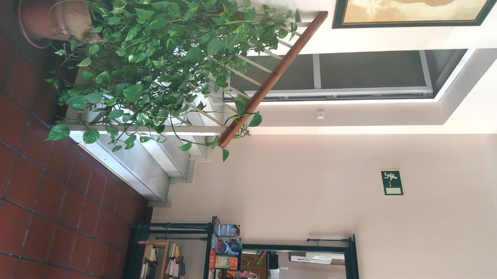 Hostal Puerta Carmona photo