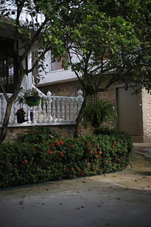 FINCA VILLA MAGALY en medio de la Naturaleza - 5