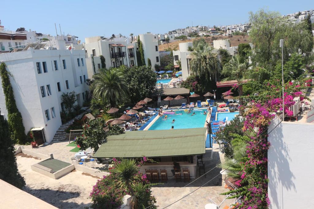 View