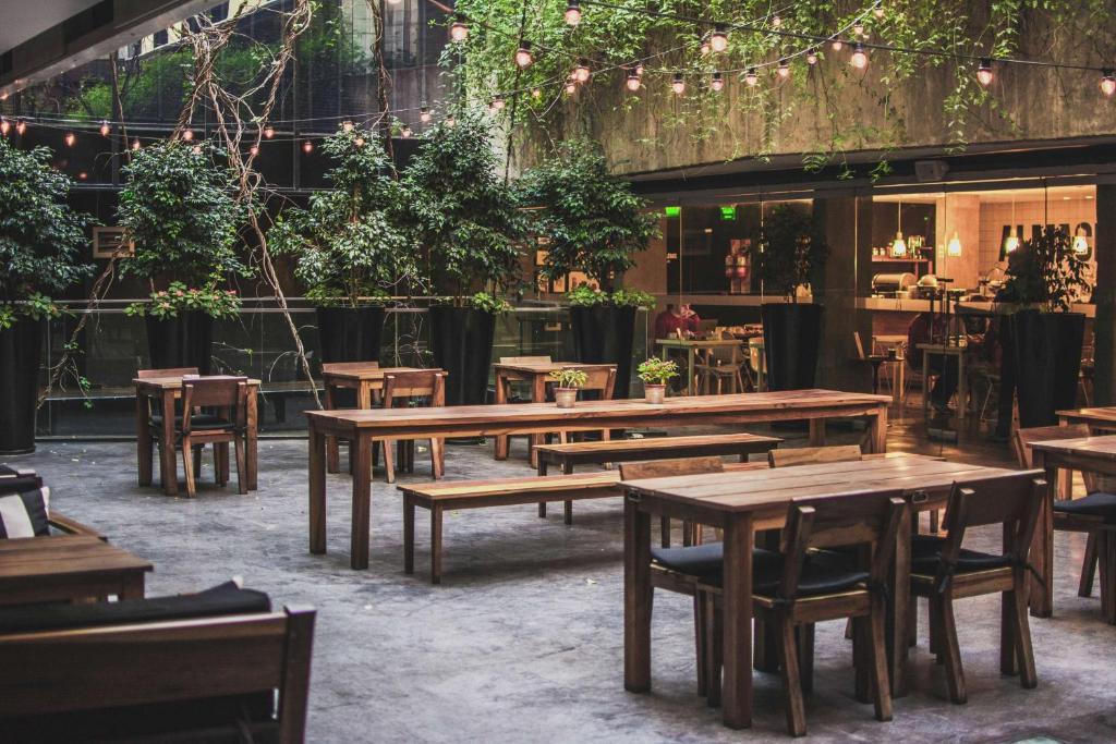 Anselmo Buenos Aires Curio Collection by Hilton photo