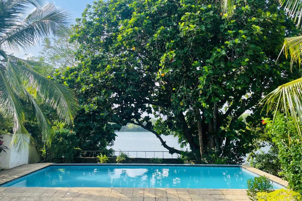 Mala Villa, Hikkaduwa photo