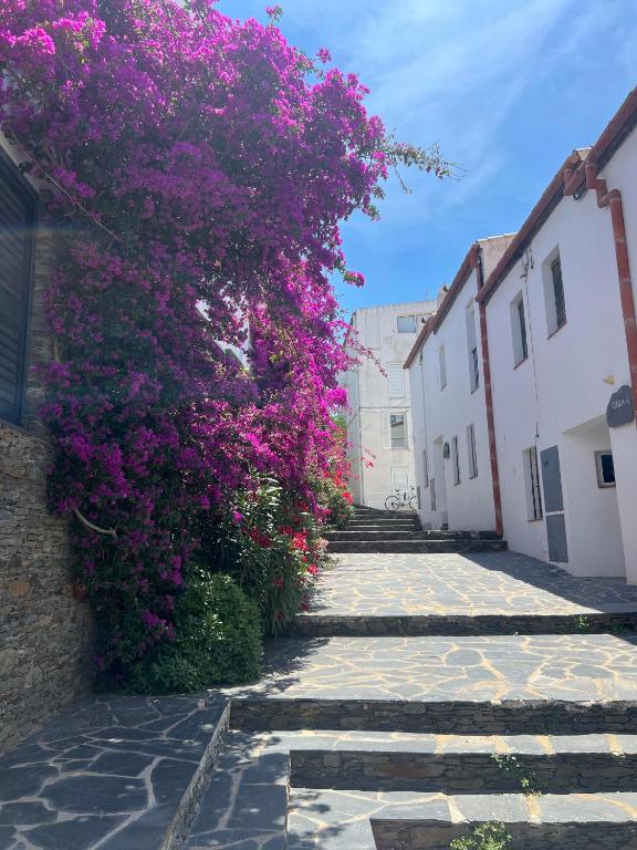 Gaia Apartments & Lofts Cadaqués - 2