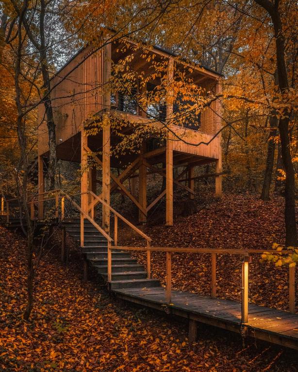 TreeHouses Noszvaj photo