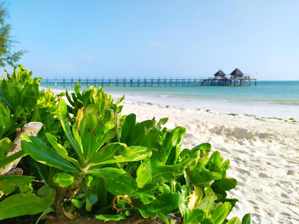 ชายหาด