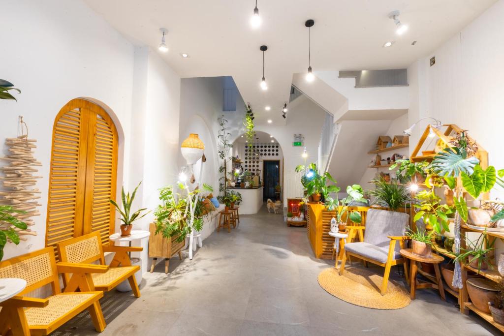 Nest House Homestay