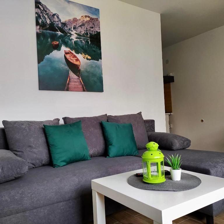 Apartmani Vlasina Sokobanja - 1