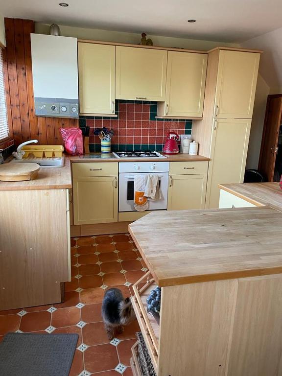 32 Maescurig, Newport photo 6