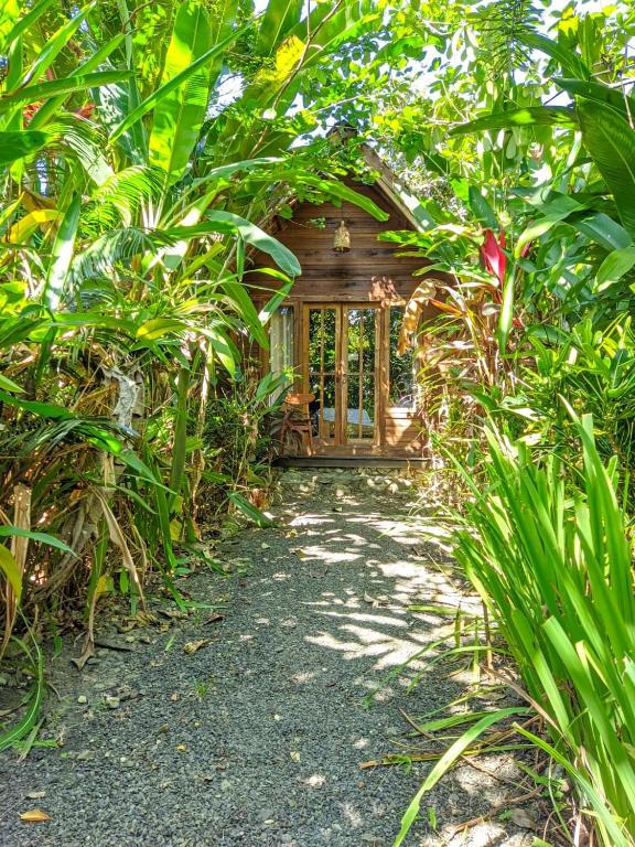 Coconut Tree Cottages photo