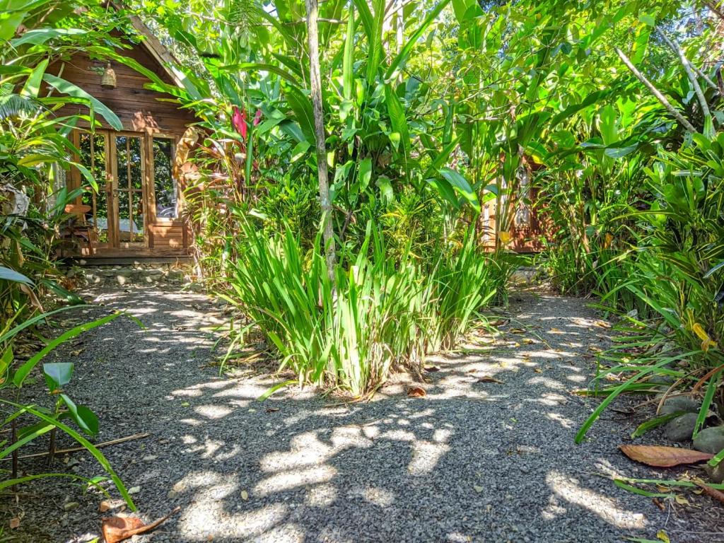 Coconut Tree Cottages photo