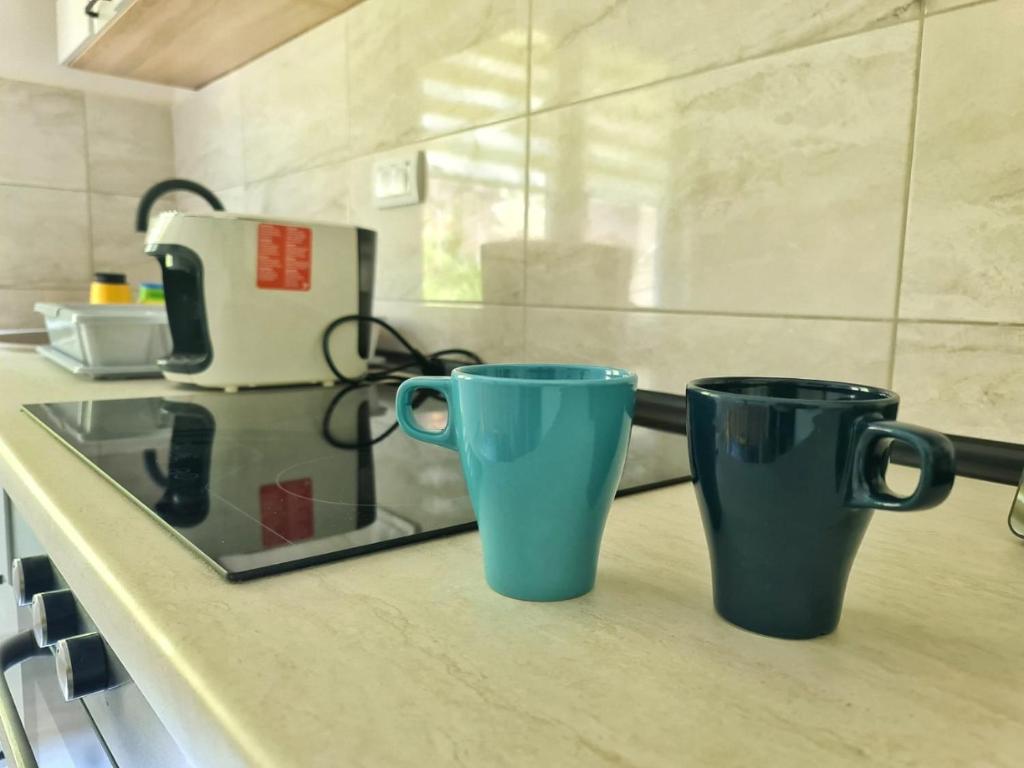 Apartman Berlin Sokobanja - 5
