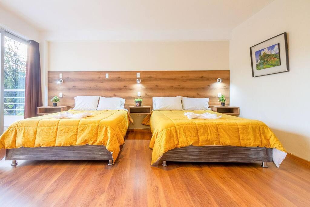 Suite ecológico 301 - 5