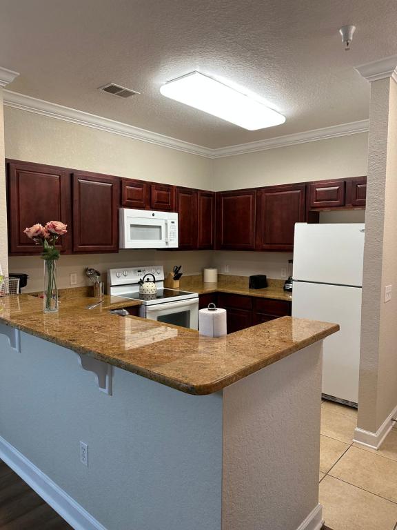Gone 2 Florida Vacation Homes photo