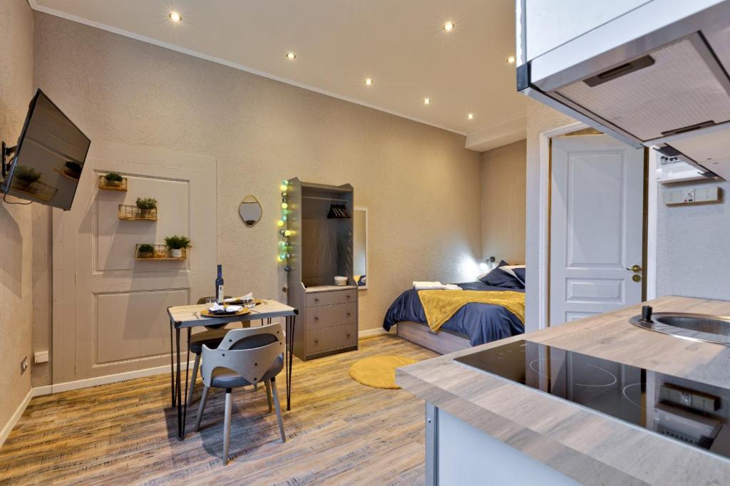 Studio Le Dauphin hyper centre - 1