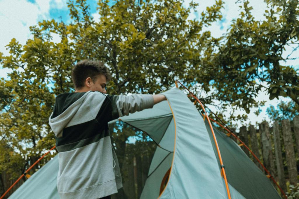 Camping Yellow Plum photo