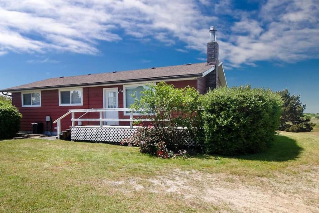 Carole's Place - Dog-Friendly home