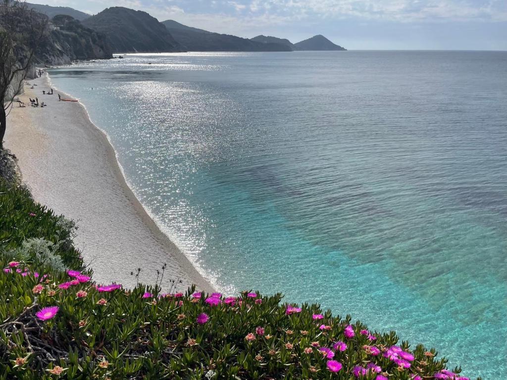 Belvedere Residenza Mediterranea - 5