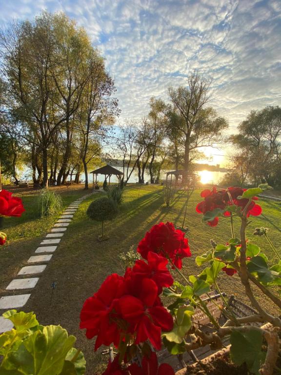 Dunavska lepotica 1 - 4