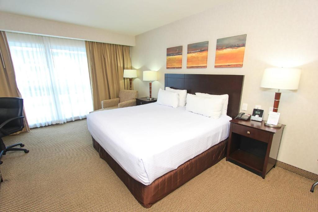 クラウン プラザ レオン バイ IHG (Crowne Plaza Leon By IHG)