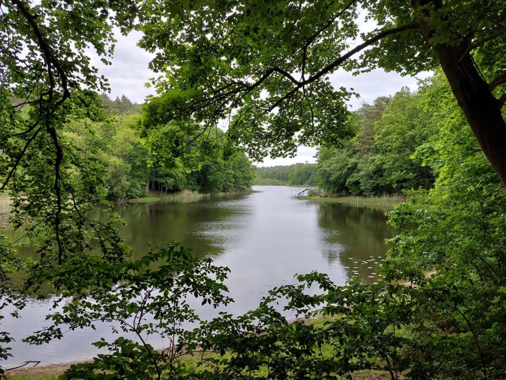 Willa Wiselka photo