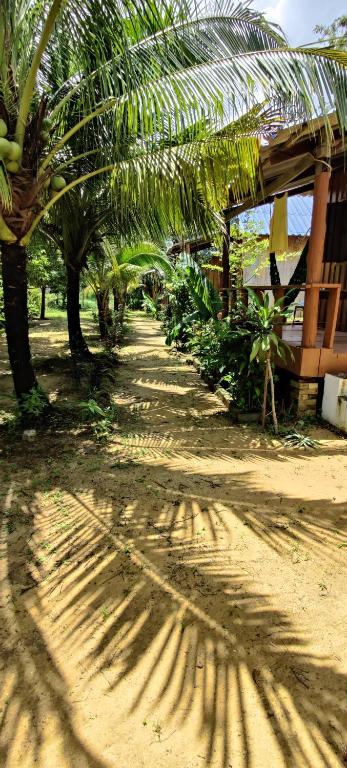 Mangrove Beach Bungalows photo