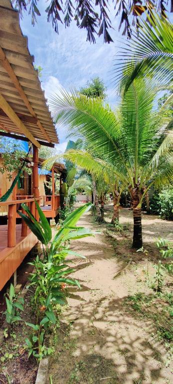 Mangrove Beach Bungalows photo