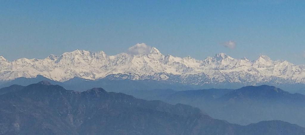 View