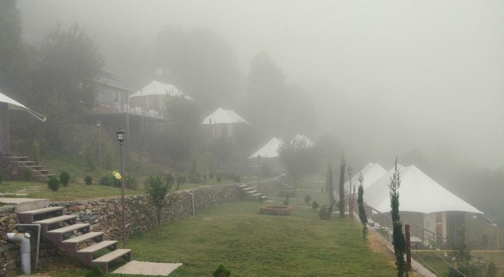 Surrounding environment