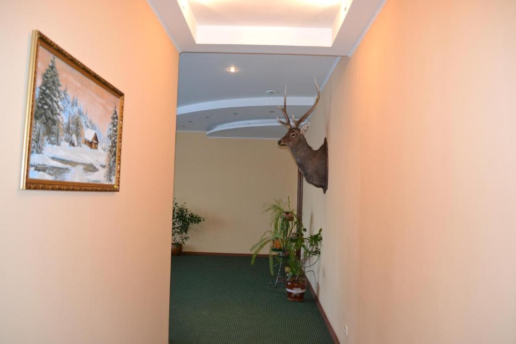 Zolotoy Ruchej photo