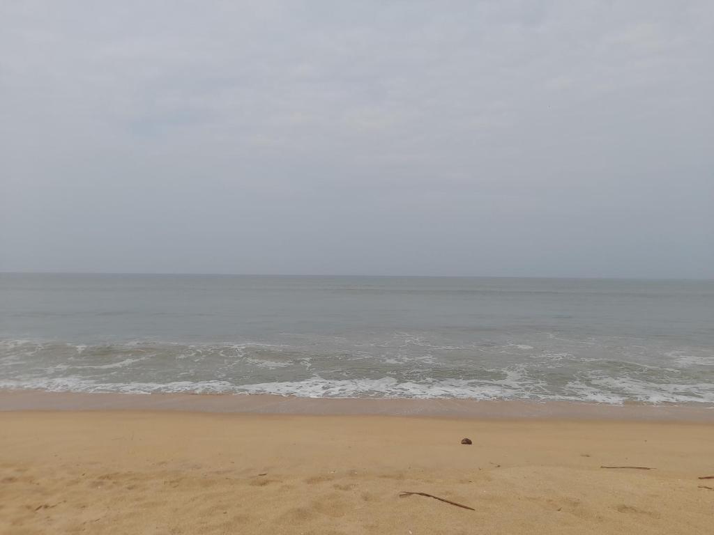 Oceangreen cottage photo