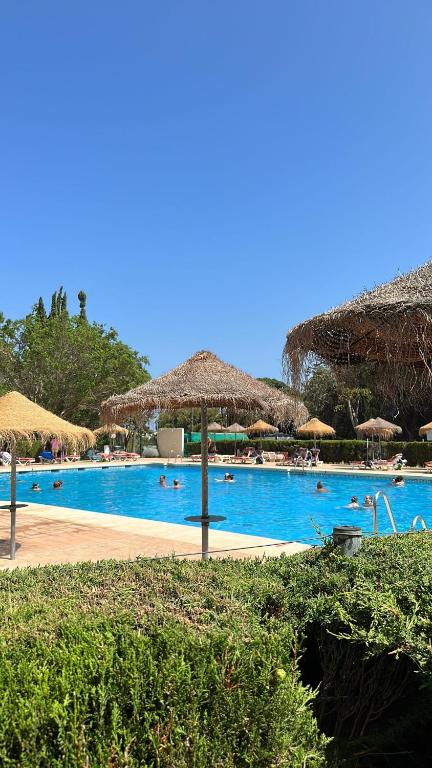 COSTA DEL SOL INN Apartments - 3
