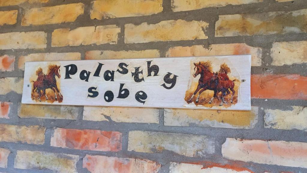 Sobe Palasthy, Novi Bečej