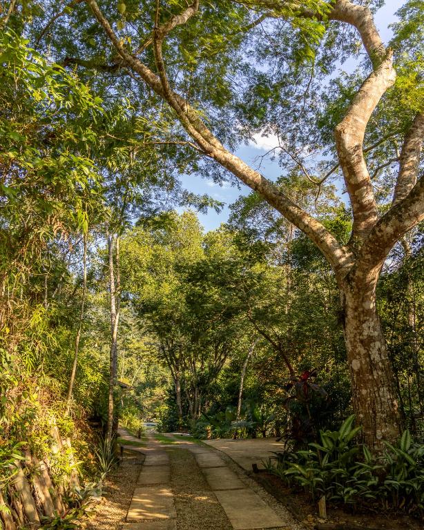 La Luciole Ecolodge photo