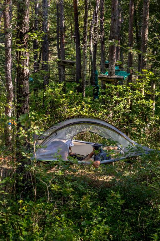 Adventure Forest, Castellane