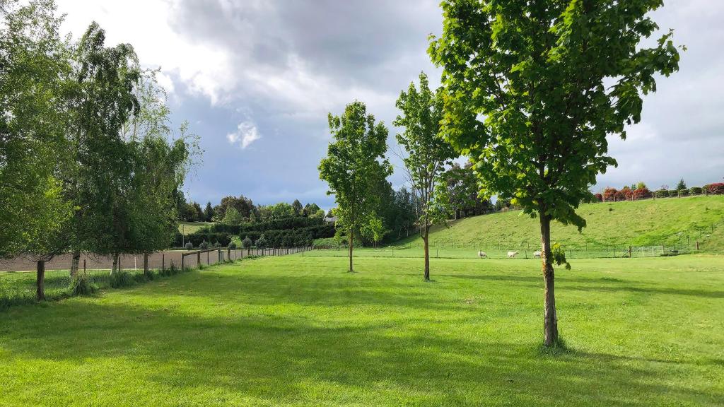 Surrounding environment