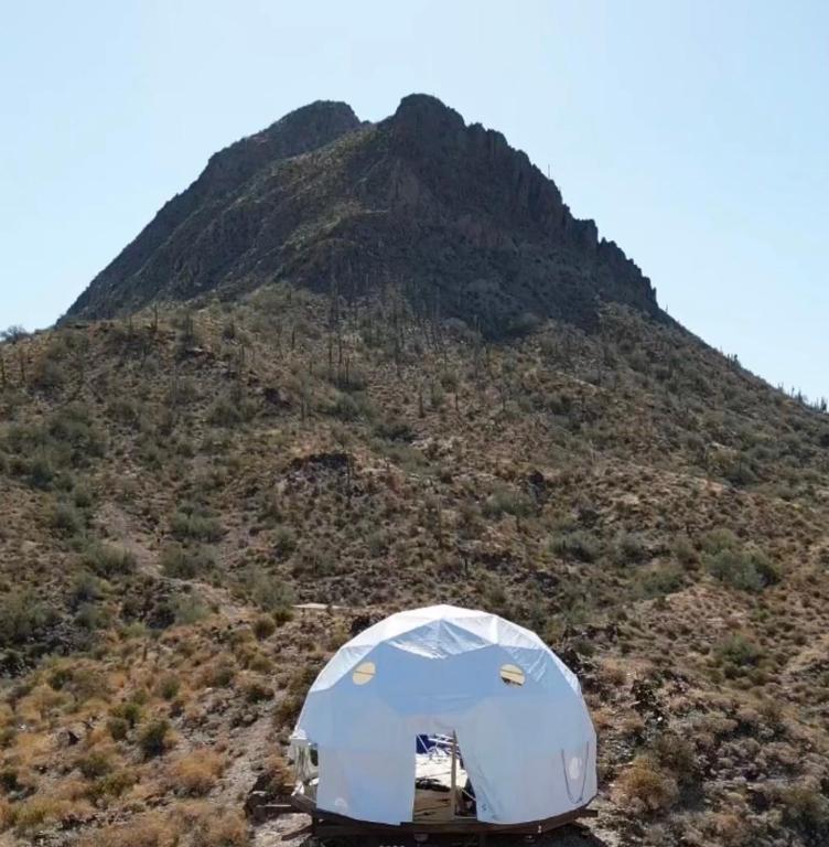 The Dome Life