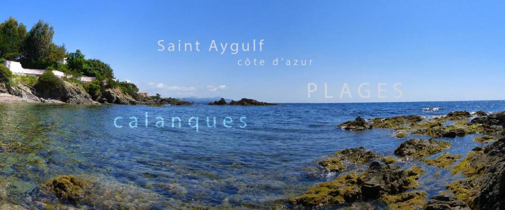 Au Reveil des Cigales - 4